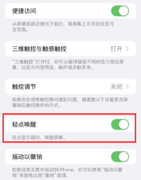 邯郸苹果授权维修站分享iPhone轻点无法唤醒怎么办