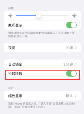 邯郸苹果授权维修站分享iPhone轻点无法唤醒怎么办