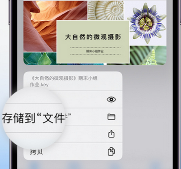 邯郸apple维修中心分享iPhone文件应用中存储和找到下载文件