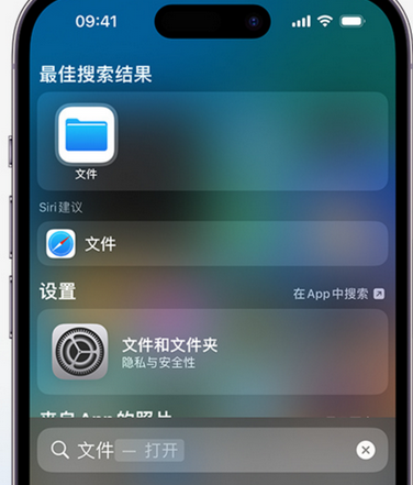 邯郸apple维修中心分享iPhone文件应用中存储和找到下载文件 