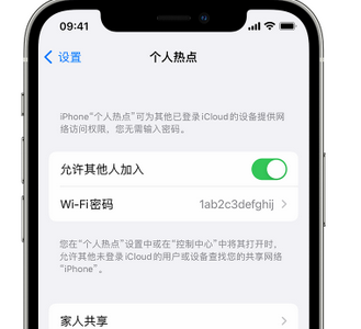 邯郸apple服务站点分享iPhone上个人热点丢失了怎么办 