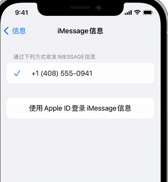 邯郸apple维修iPhone上无法正常发送iMessage信息 