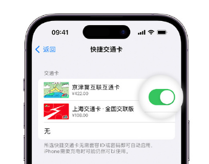 邯郸apple维修点分享iPhone上更换Apple Pay快捷交通卡手绘卡面 