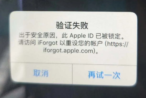 邯郸iPhone维修分享iPhone上正常登录或使用AppleID怎么办 