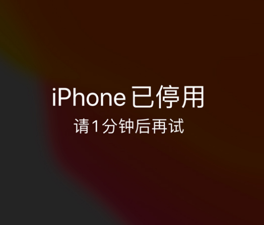 邯郸苹果手机维修分享:iPhone 显示“不可用”或“已停用”怎么办？还能保留数据吗？ 