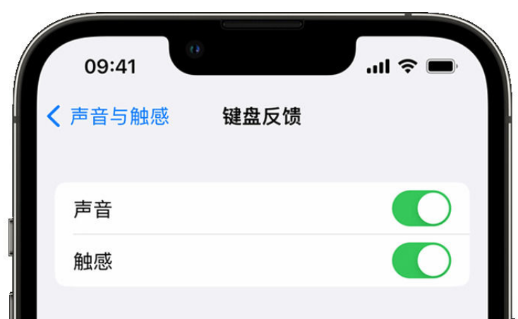 邯郸苹果手机维修分享iPhone 14触感键盘使用方法 