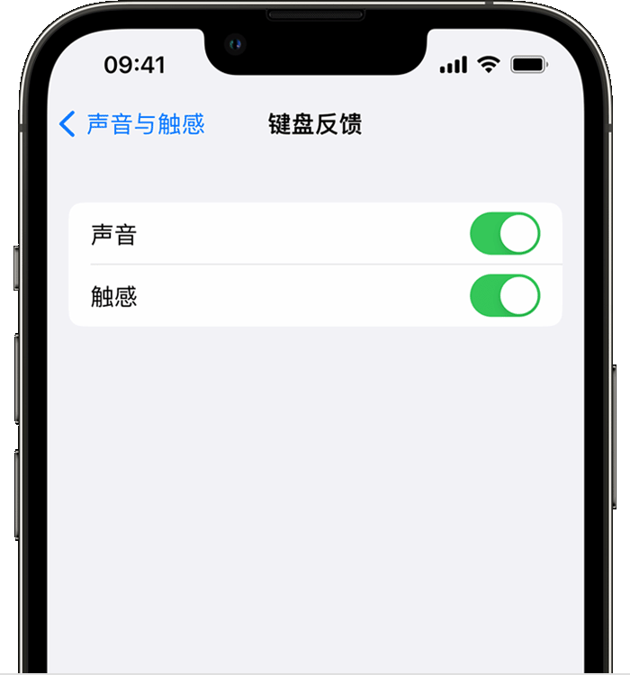 邯郸苹果14维修店分享如何在 iPhone 14 机型中使用触感键盘 