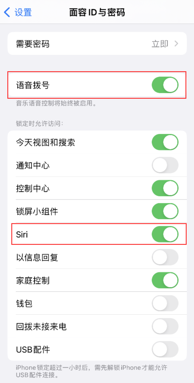 邯郸苹果维修网点分享不解锁 iPhone 的情况下通过 Siri 拨打电话的方法 