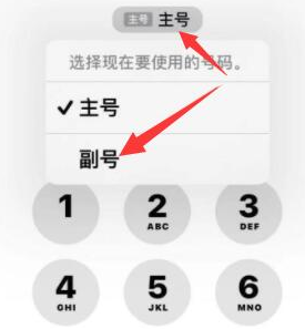 邯郸苹果14维修店分享iPhone 14 Pro Max使用副卡打电话的方法 