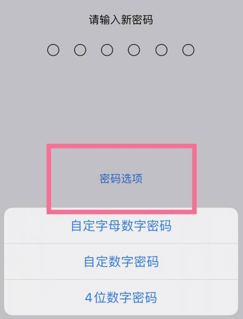 邯郸苹果14维修分享iPhone 14plus设置密码的方法 