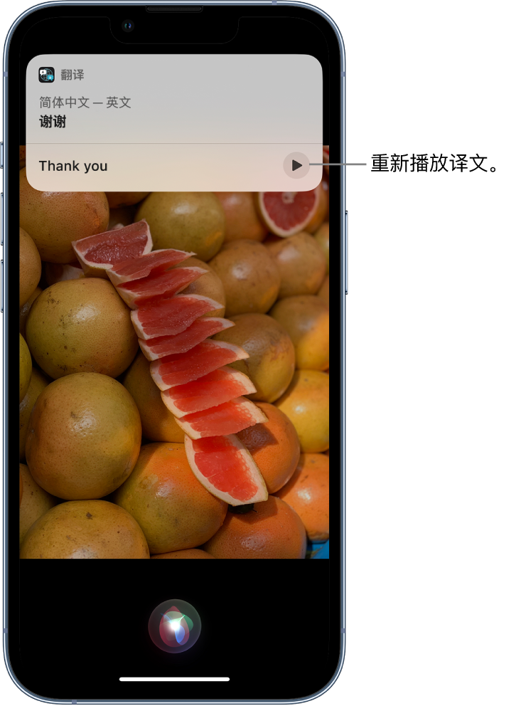 邯郸苹果14维修分享 iPhone 14 机型中使用 Siri：了解 Siri 能帮你做什么 