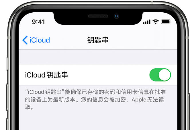 邯郸苹果手机维修分享在 iPhone 上开启 iCloud 钥匙串之后会储存哪些信息 