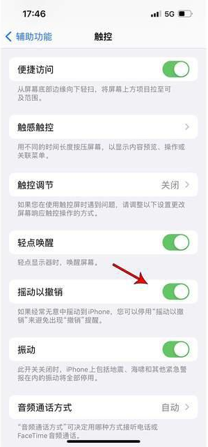 邯郸苹果手机维修分享iPhone手机如何设置摇一摇删除文字 