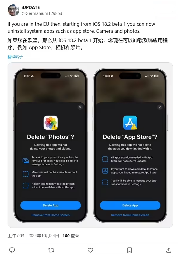 邯郸苹果手机维修分享iOS 18.2 支持删除 App Store 应用商店 