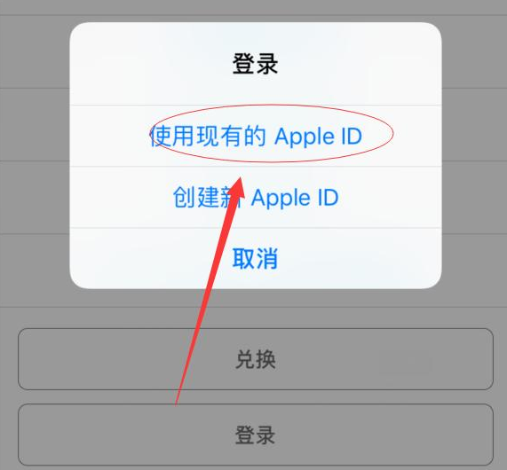 邯郸苹果手机维修分享两台iPhone设备可以同时登录一个Apple ID吗 