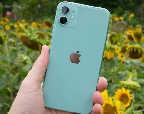邯郸苹果维修点分享iPhone 11锁屏密码认知与使用科普 