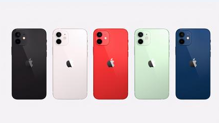 邯郸苹果维修点分享iPhone 12锁屏密码系统机制科普 